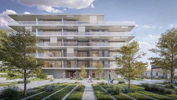 Le Coteau des Vignes